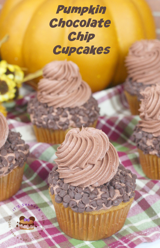 pumpkin chocolate chip cupcakes recipe