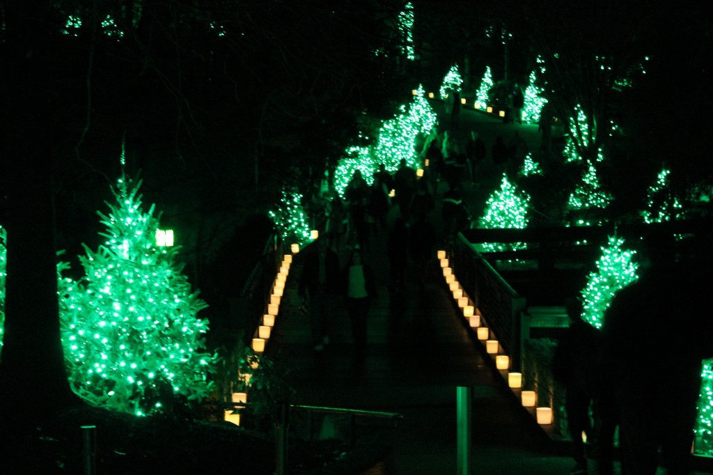 Busch Gardens Christmas town