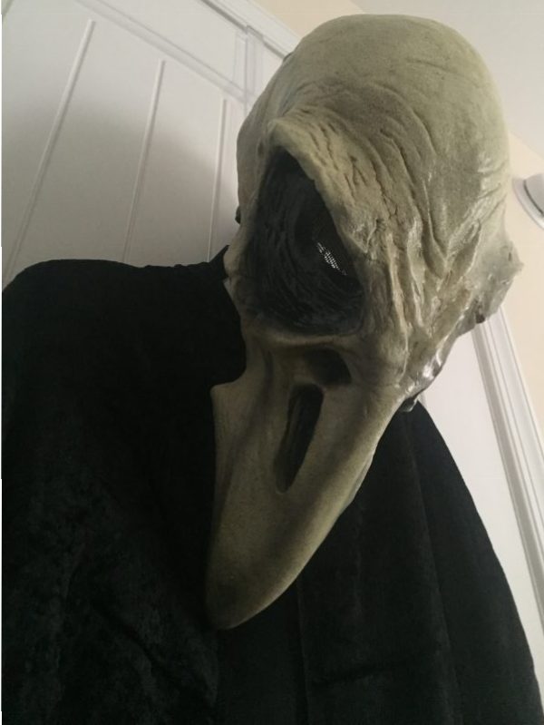 crow mask costume