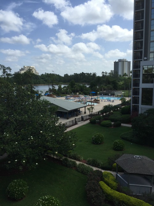 wyndham garden lake buena vista disney resort view