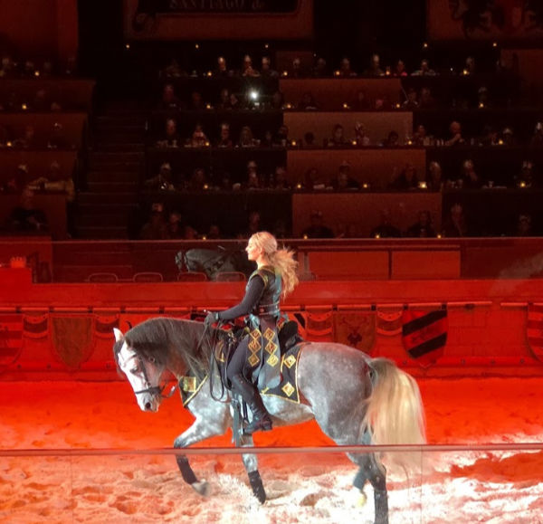 Medieval Times NJ horse trainer
