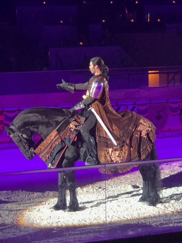 Medieval Times NJ tournament