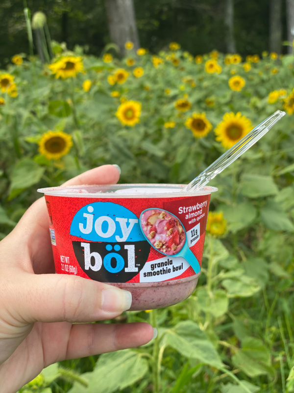 joyböl smoothie bowl strawberry almond