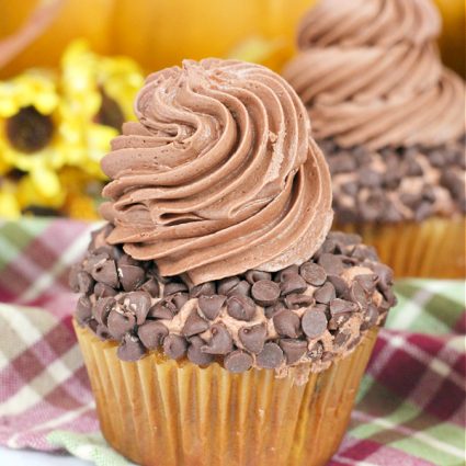 pumpkin chocolate chip cupcake