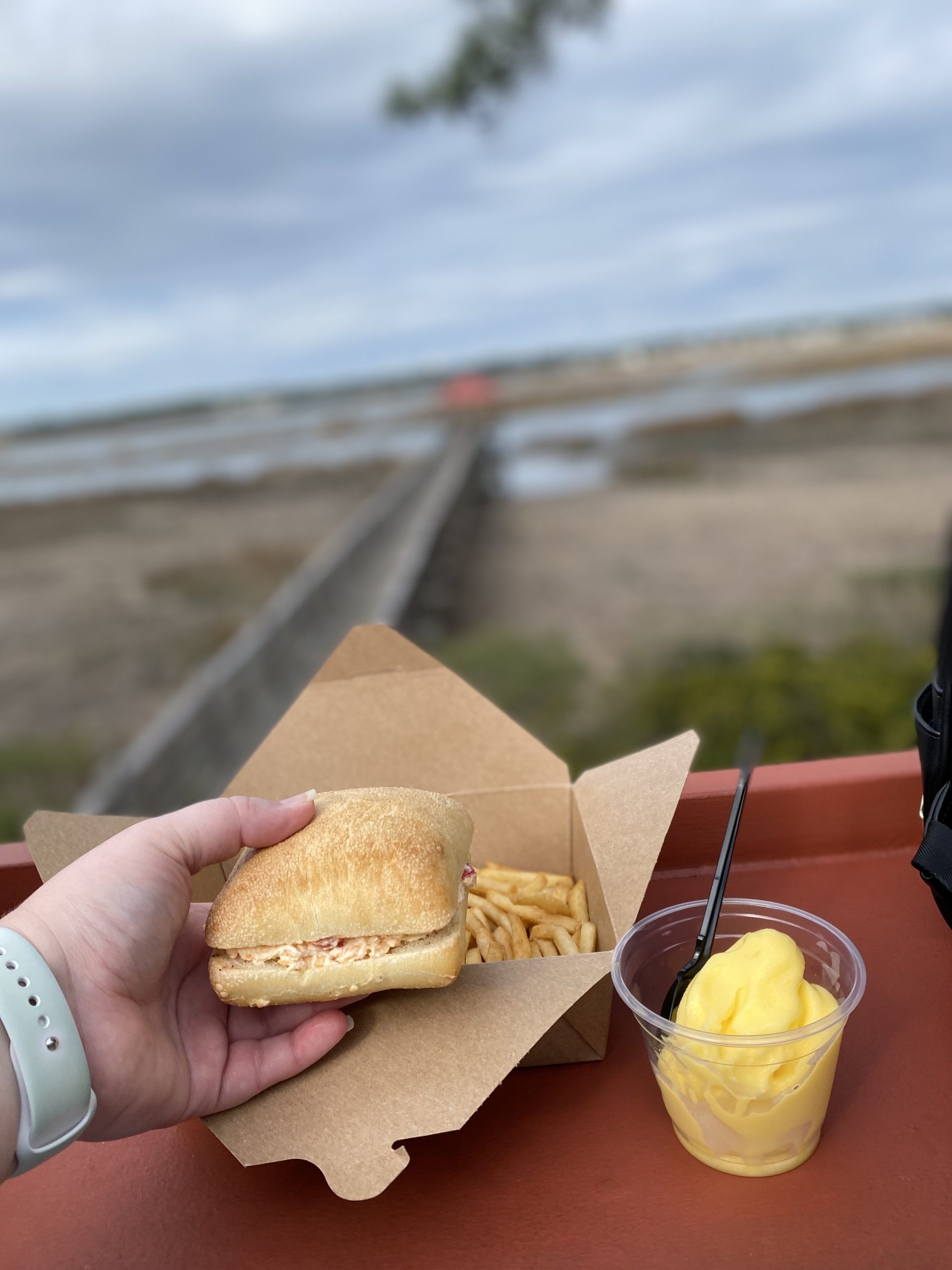 disney pimento cheese with fries